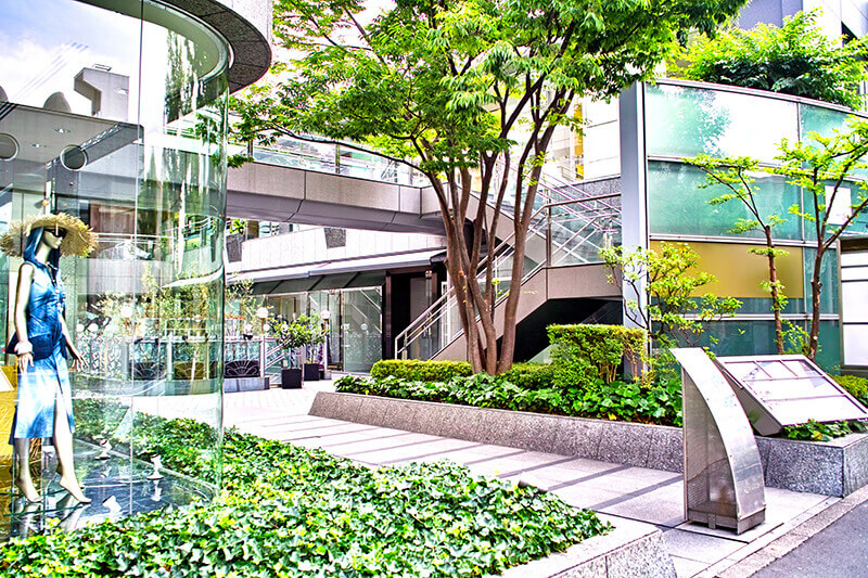 daikanyama2