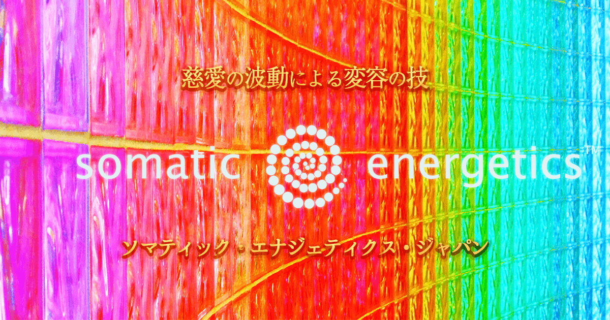 フィジオエナジェティック　精神心理① テキスト ソマティック・エナジェティクス - 慈愛の波動による変容の技